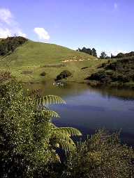 A lake in the Waikato district