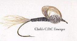 Clark's C.D.C Emerger