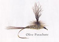 Olive Parachute