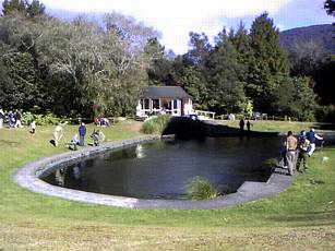 池の全景