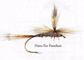 Hares Ear Parachute