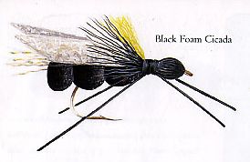 Black Foam Cicada