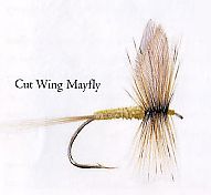Cut Wing Mayfly