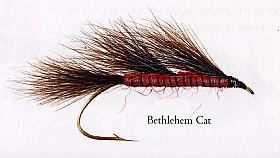 Bethlehem Cat