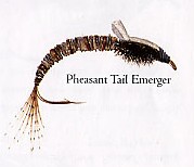 Pheasant Tail Emerger