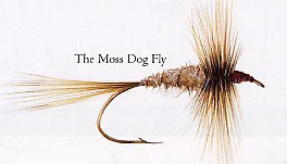 The Moss Dog Fly