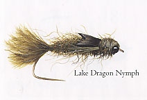 Lake Dragon Nymph