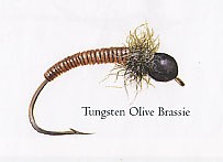 Tungsten Olive Brassie