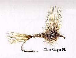 Close Carpet Fly