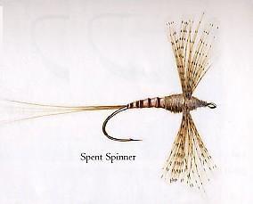 Spent Spinner