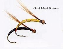 Gold Head Buzzers