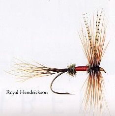 Royal Hendrickson