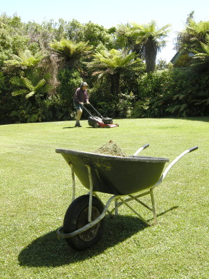 広い庭の芝刈りを手伝う