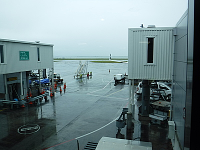 雨のオークランド空港