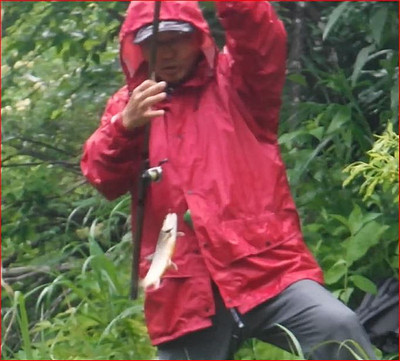 雨の降りしきる中、赤い雨具で快調に釣る谷倉先輩