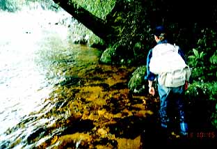 A big brown trout stayed on the bank of the river.