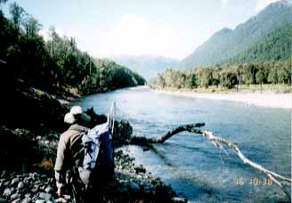 Spotting a trout