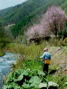 The first fishing after the serious illness.