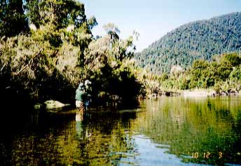 Stalking for brown trout