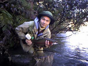 A nice jack (male rainbow trout)