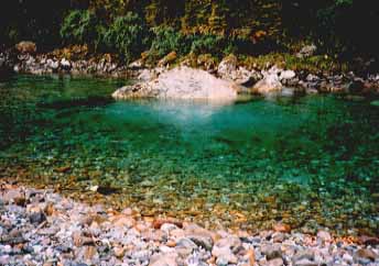 A calm beautiful pool.